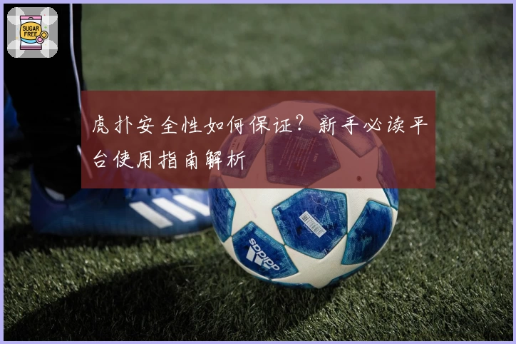 虎扑安全性如何保证？新手必读平台使用指南解析