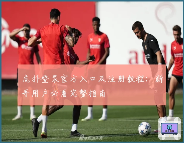 虎扑登录官方入口及注册教程：新手用户必看完整指南