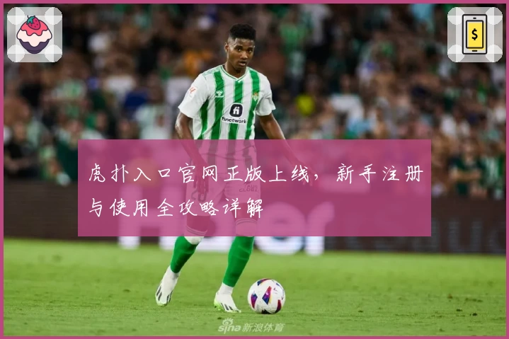 虎扑入口官网正版上线，新手注册与使用全攻略详解