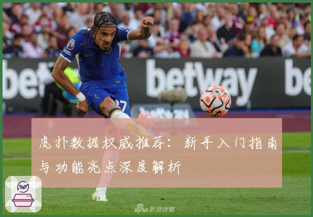 虎扑数据权威推荐：新手入门指南与功能亮点深度解析